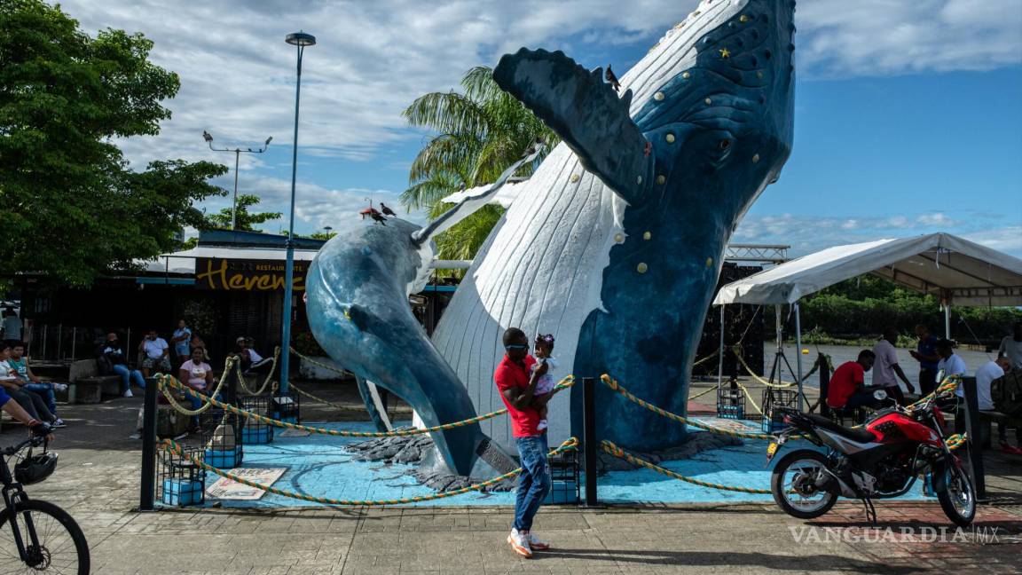 En Colombia, puedes avistar ballenas y llevarles serenata