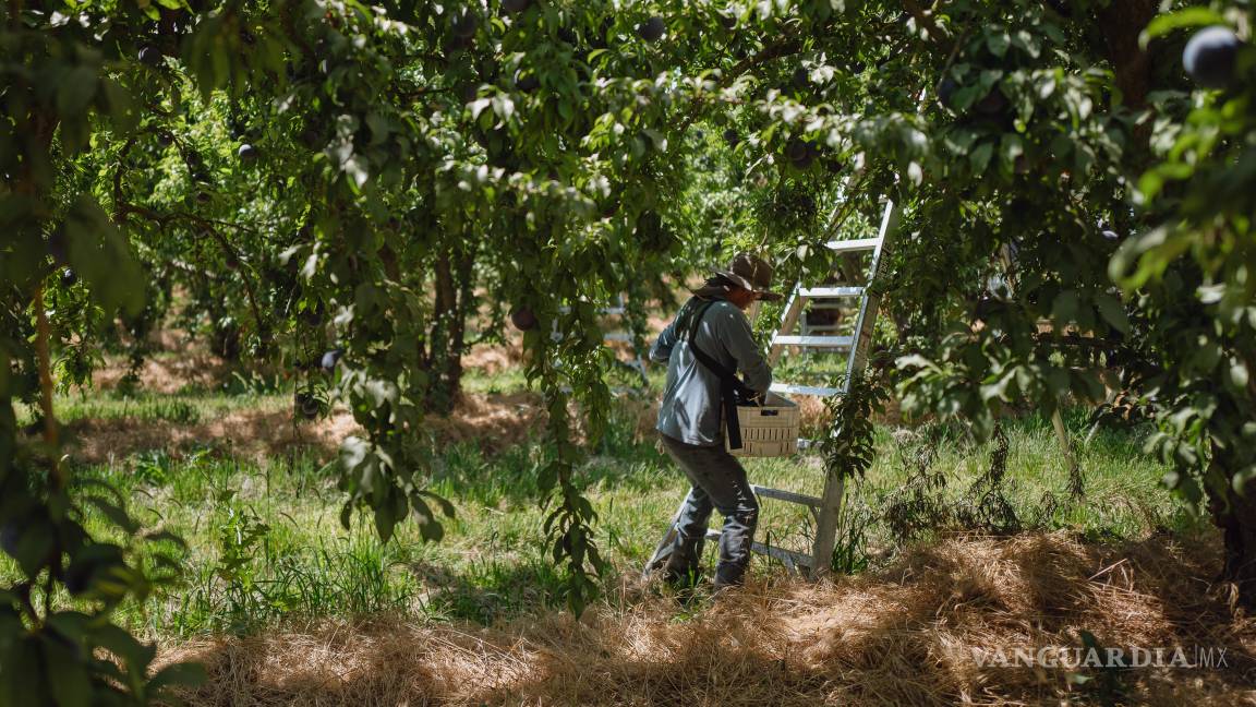Trump aviva el miedo, la indignación y la esperanza en la región agrícola de California