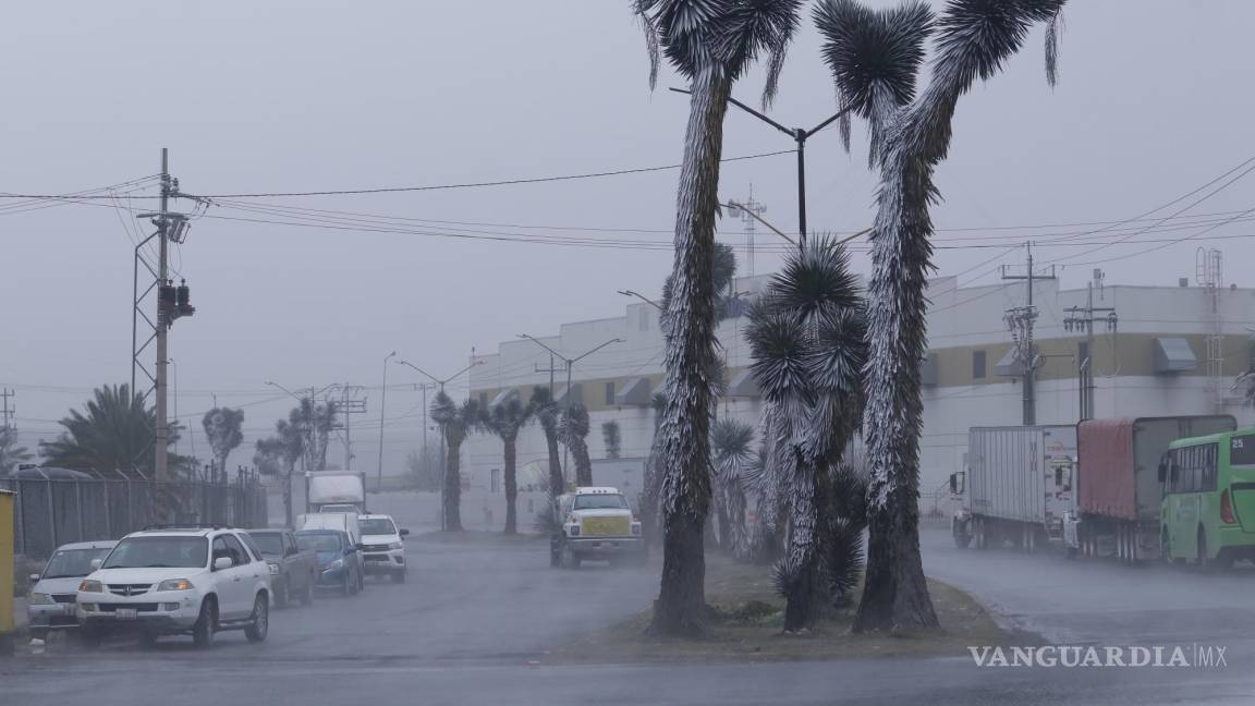 Prepárese... Ingreso de Frente Frío 24 y Masa de Aire Frío congelarán estos estados; se esperan lluvias y fuertes vientos