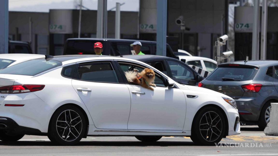 Los seguros de auto bajan de precio, por primera vez desde 2009