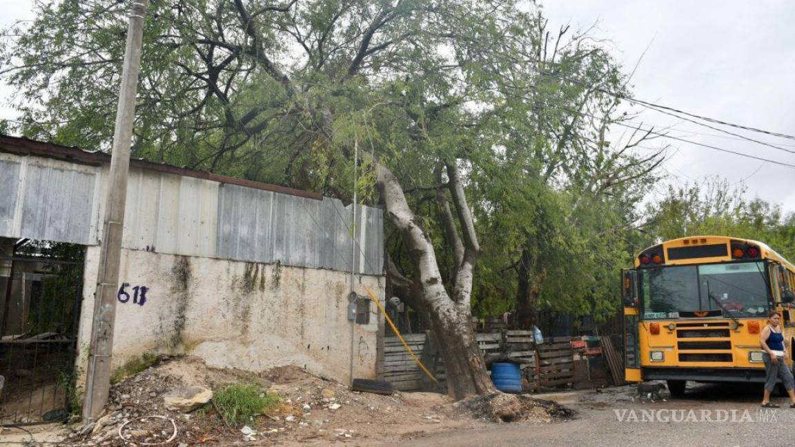 Lluvias fuertes y actividad eléctrica afectarán a Coahuila hoy, anuncia SMN