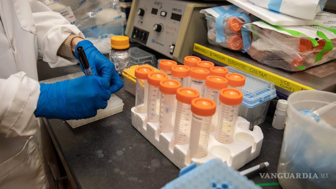 $!La emergencia por COVID-19 llega a su fin y la vigilancia se traslada a las alcantarillas