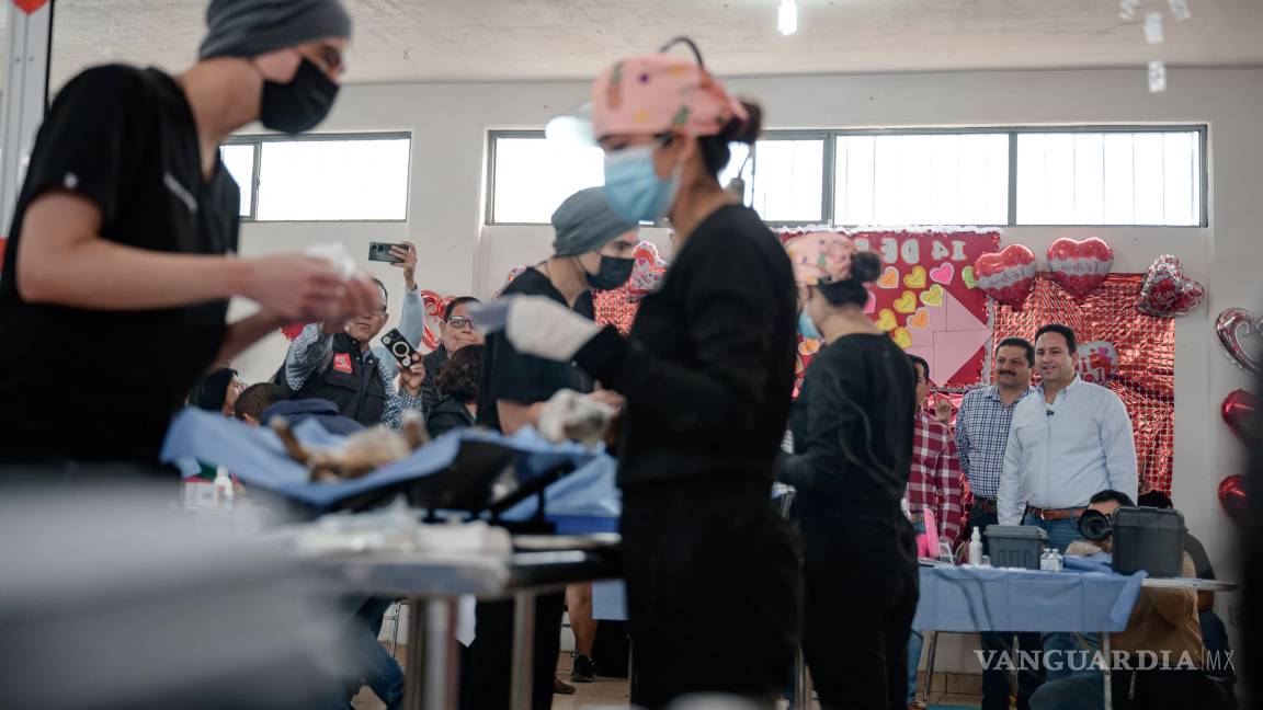 $!Las jornadas de esterilización de mascotas se llevarán a cabo en los centros comunitarios de la ciudad.