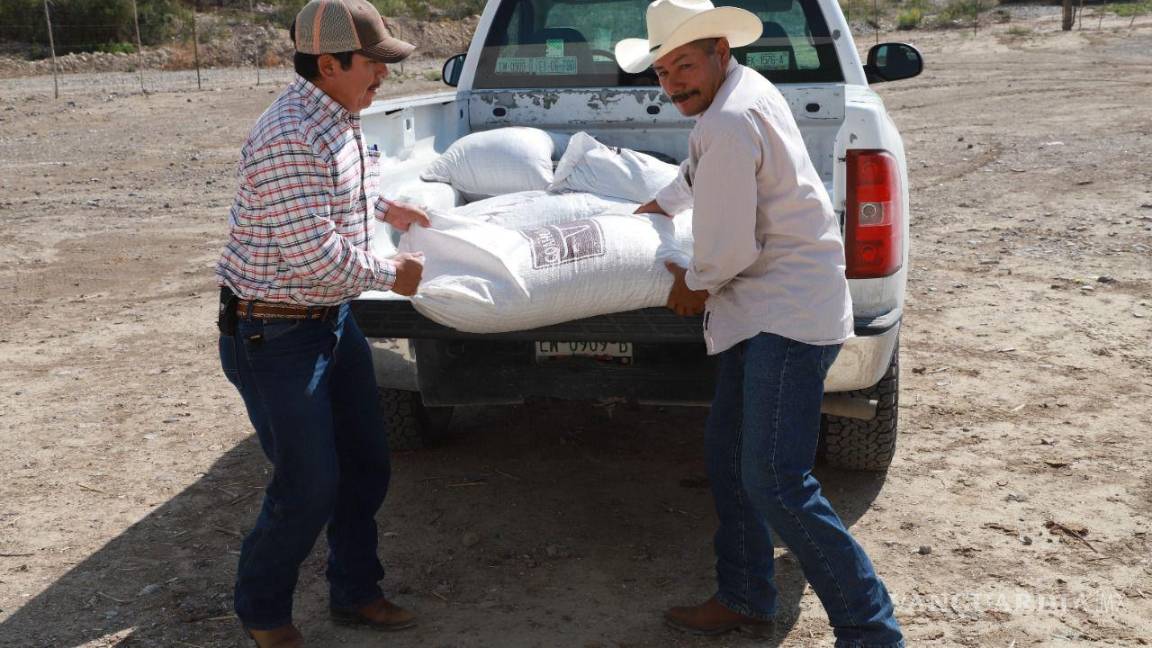 Apoyo al campo con alimento subsidiado