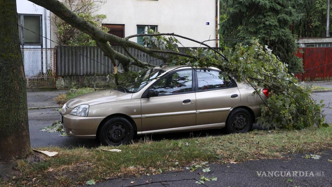 $!Un árbol caído en un automóvil estacionado dañado después de una poderosa tormenta, en Zagreb, Croacia.