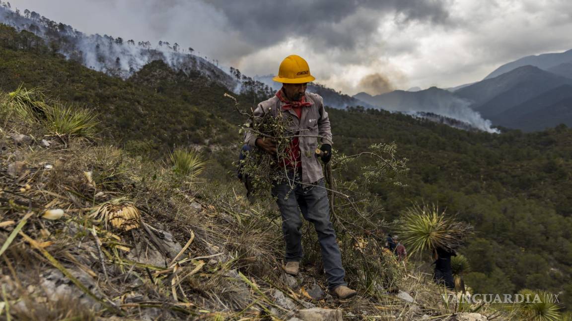 Van nueve incendios forestales en Coahuila en lo que va del año; se mantiene alerta amarilla
