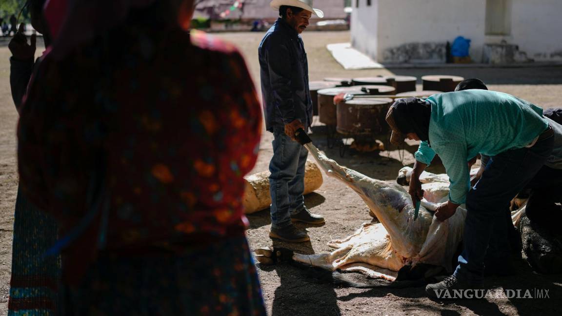$!Hombres indígenas rarámuri retiran la piel de una vaca sacrificada antes de cocinarla para la ceremonia sagrada Yúmari para pedir por lluvia.