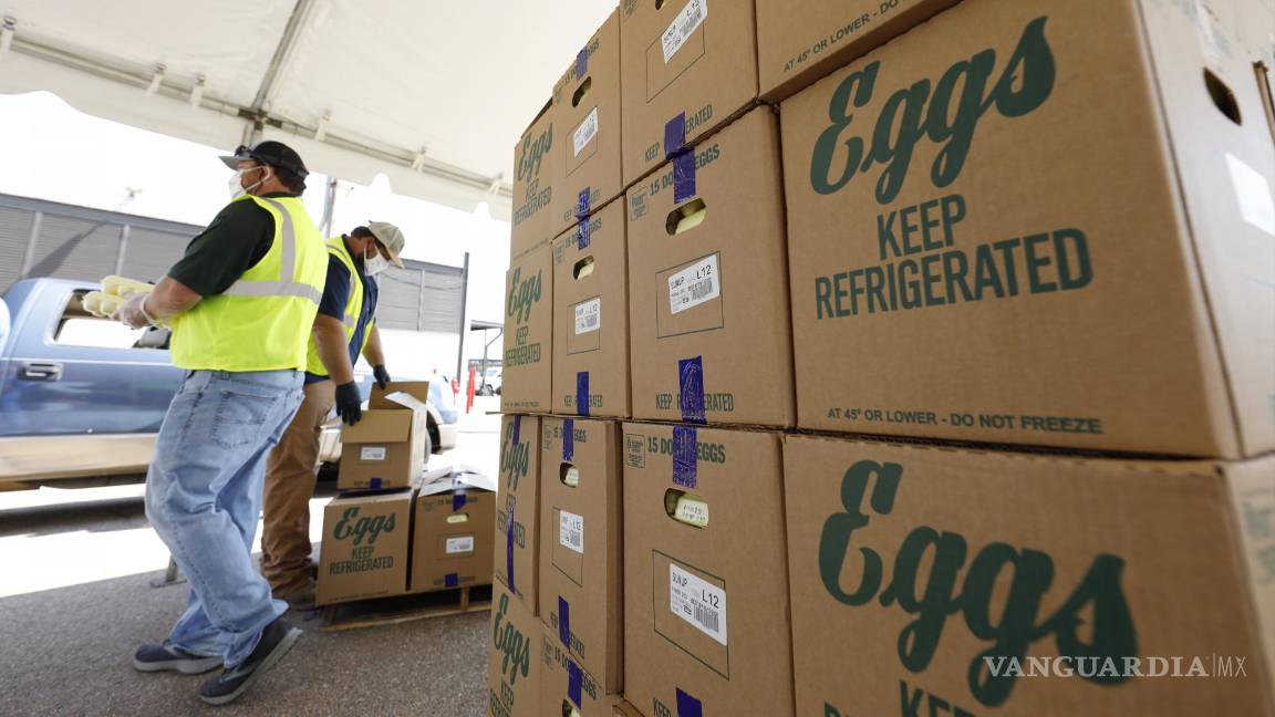 $!En al menos ocho entidades de Estados Unidos se han reportado casos de gripe aviar en las granjas.