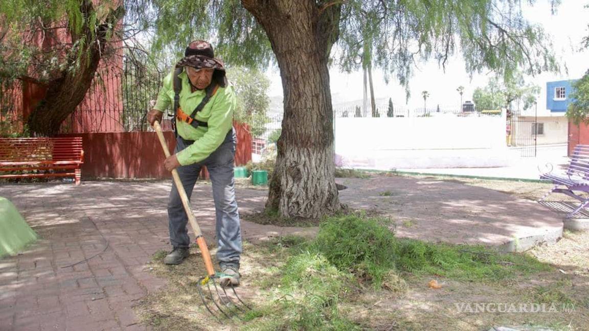 A diario se trabaja en la limpieza de áreas verdes de Saltillo