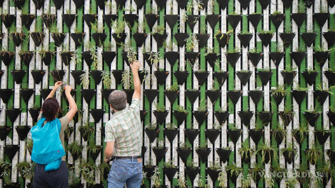 $!Asegúrate de que los productos que compras sean ecológicos y responsables con el medio ambiente.