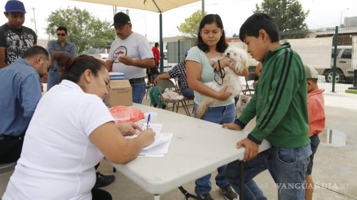Supera Coahuila meta de mascotas esterilizadas