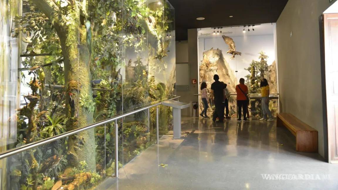 $!El MUSAVE permanecerá abierto durante la temporada vacacional de Semana Santa.