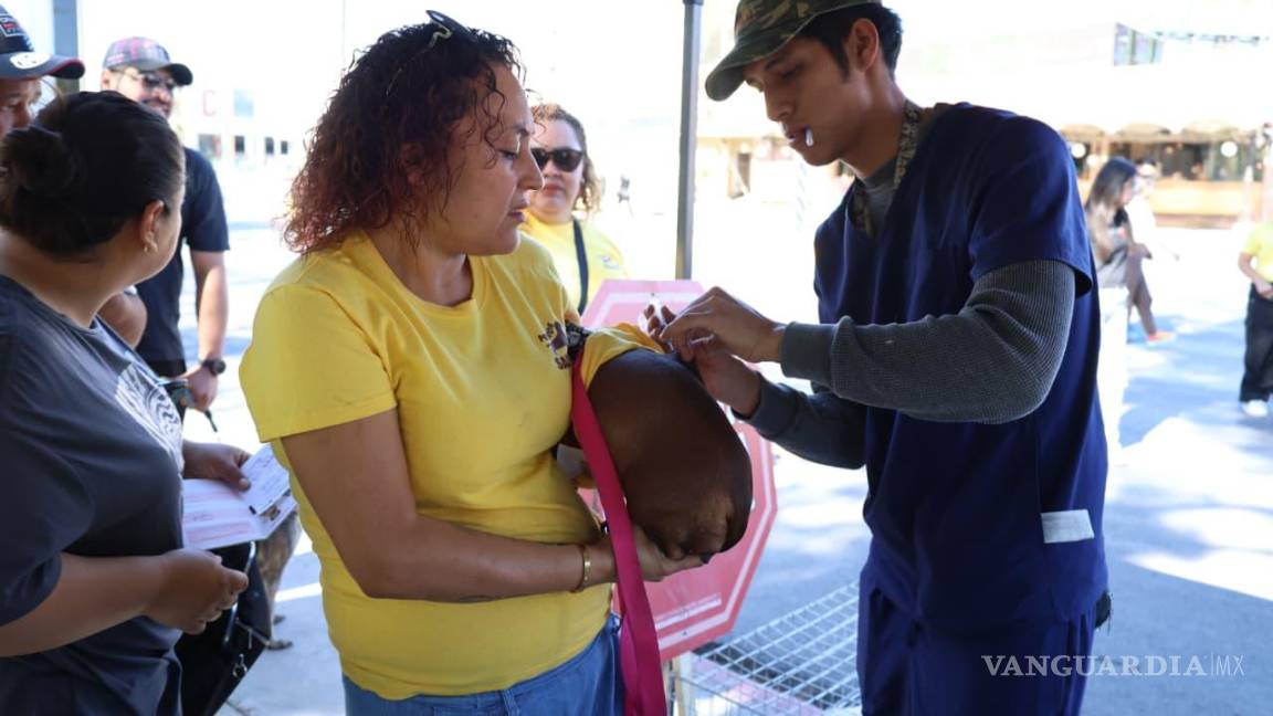 $!Mascotas recibieron vacunación antirrábica y desparasitación.