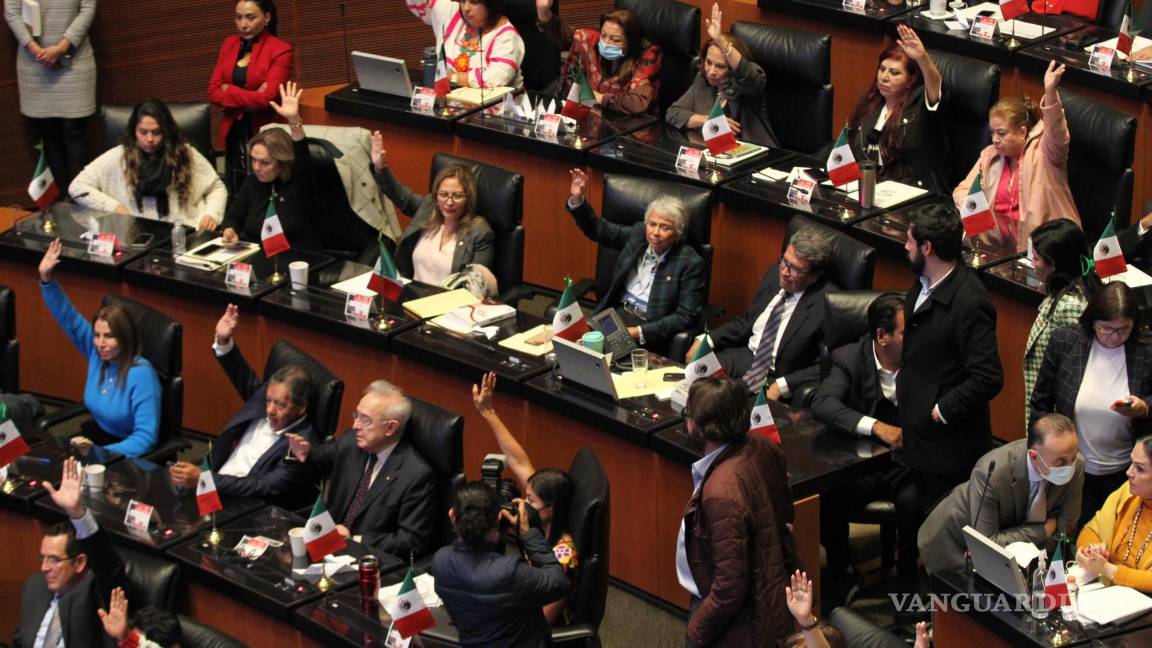 Guadiana y Galaz a favor; Martínez votó contra militarización