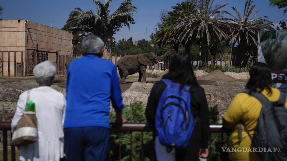 $!“Ely estaba en unas condiciones pésimas. Yo creo que no tardaba en el morirse”, dijo a The Associated Press Diana Valencia