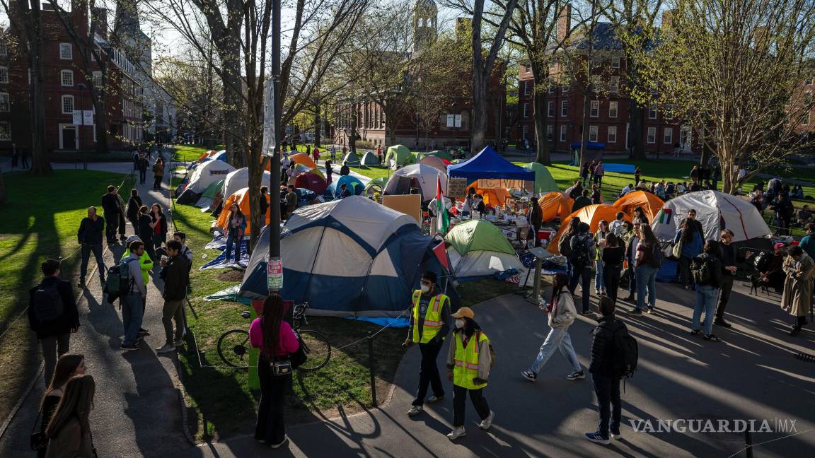 $!Estudiantes protestan contra la guerra en Gaza en el campus de la Universidad de Harvard, el 25 de abril de 2024, en Cambridge, Massachusetts.