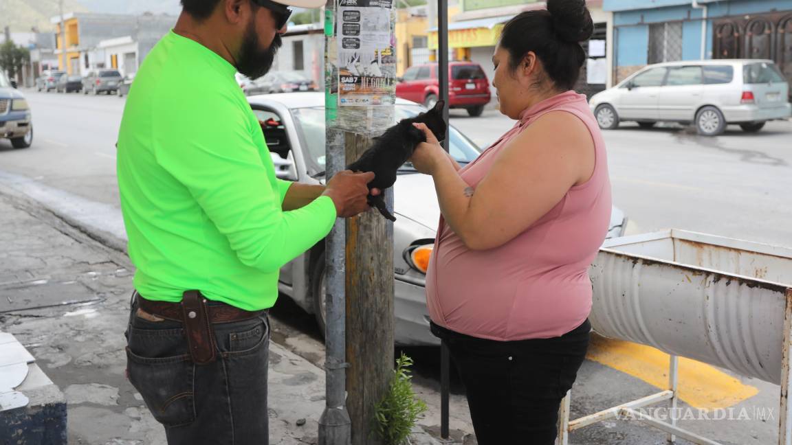 $!Personal del Módulo de Control Canino brindó atención gratuita a mascotas frente al Multideportivo El Sarape, con servicios como vacunación y baños antigarrapatas.