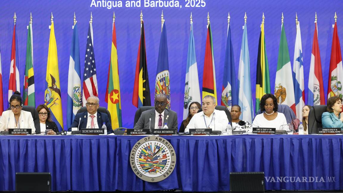 $!Se aprobó una resolución que urge a los países de la OEA respaldar a la misión multinacional de seguridad desplegada el año pasado en Haití.