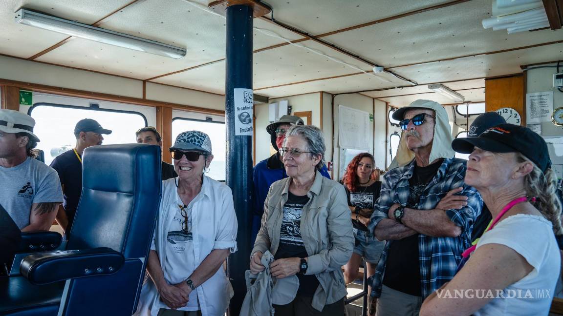 $!Barbara Taylor, bióloga que lleva décadas estudiando a las vaquitas marinas, al centro, durante el estudio del año pasado.