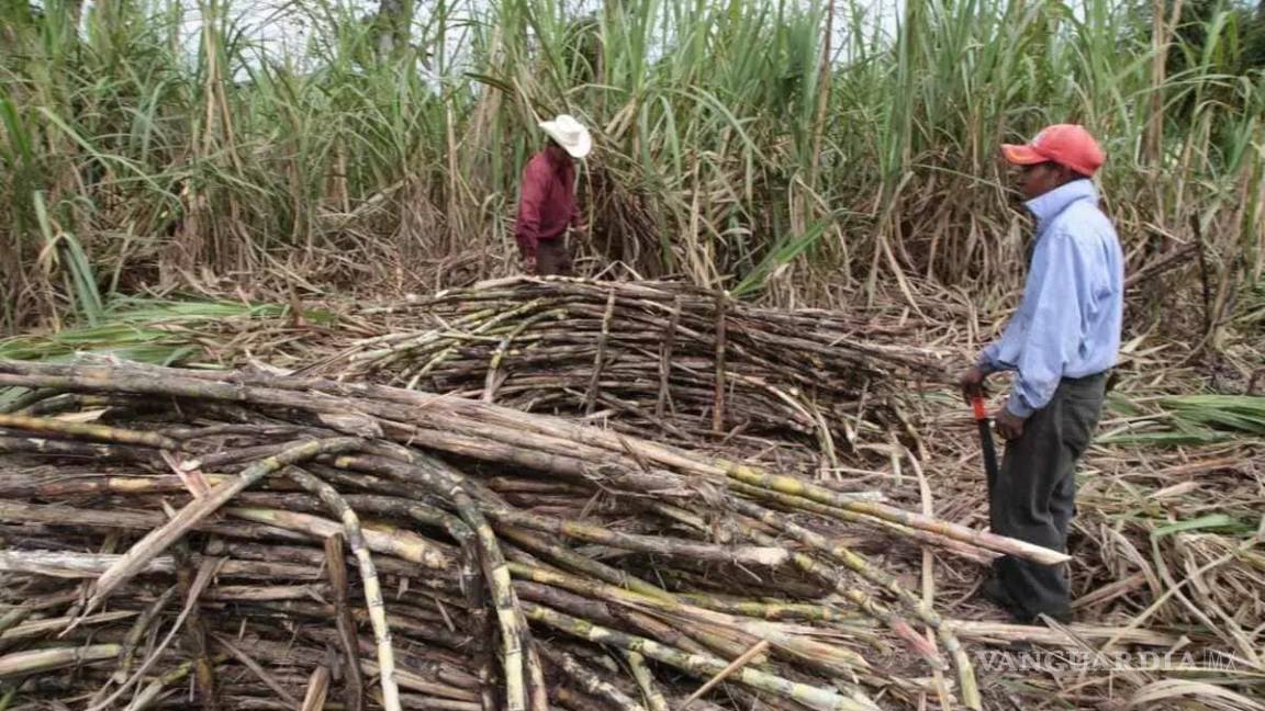 Costosa dulzura, azúcar sube de precio y presiona costos de pan y refrescos