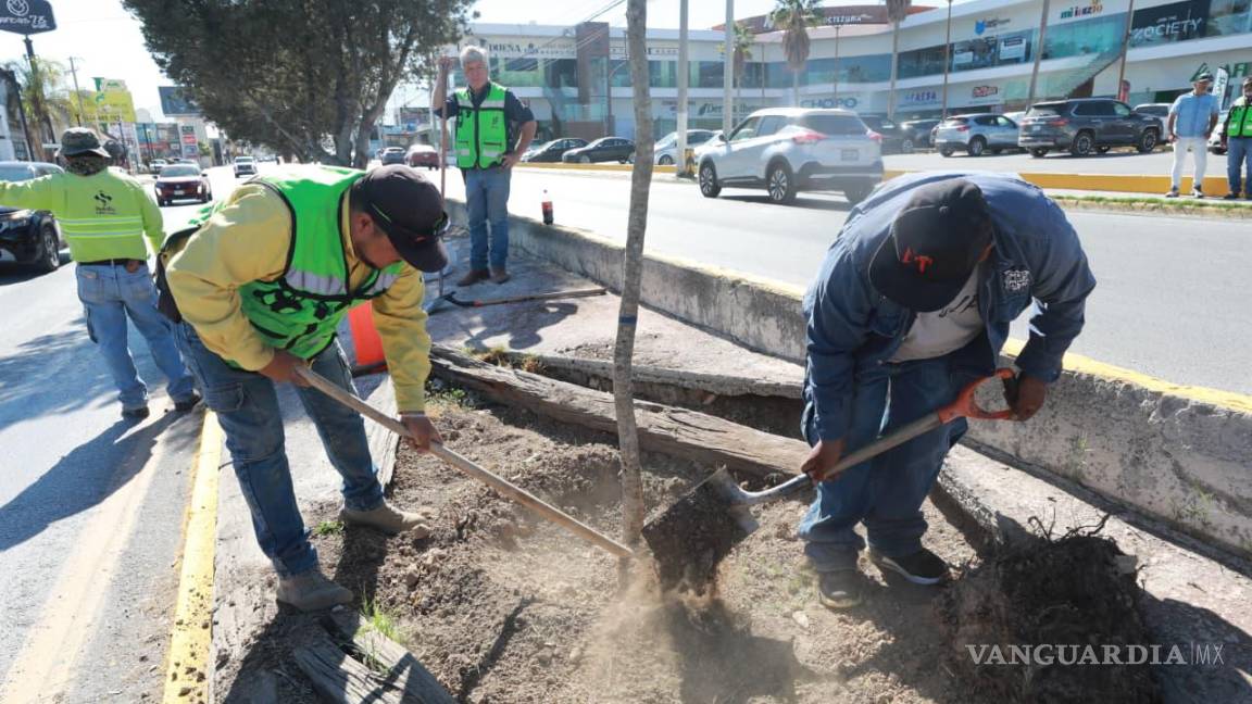 $!Los trabajos comenzaron en el bulevar Moctezuma, entre los bulevares José Musa de León y Eulalio Gutiérrez Treviño.