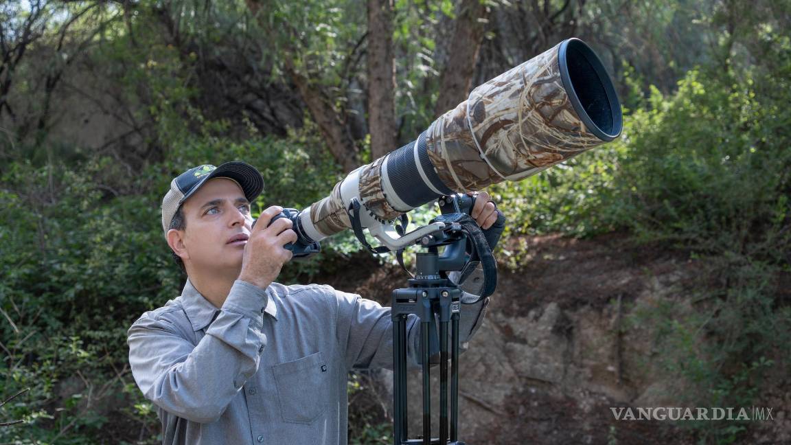 Saltillo: Logra Daniel Garza Tobón récord de mil especies de aves mexicanas fotografiadas