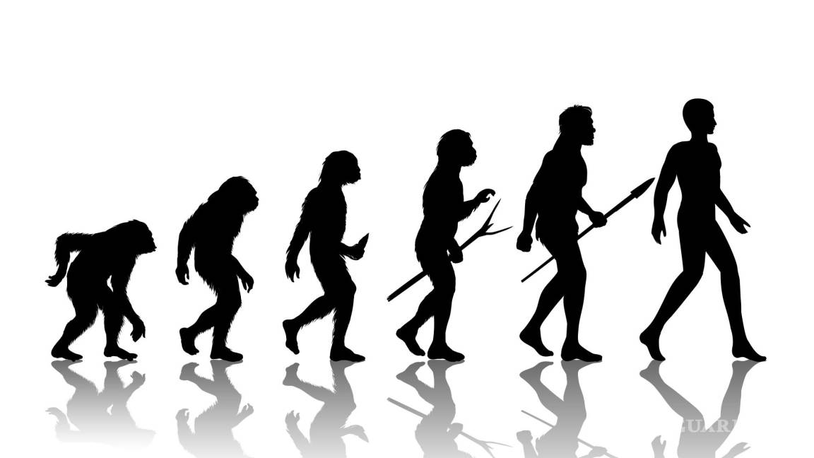 ¿Han dejado de evolucionar los humanos?