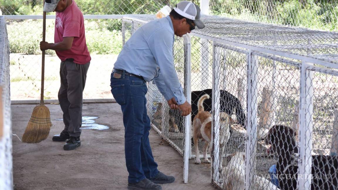 Sabinas impulsa la cultura de adopción de perros