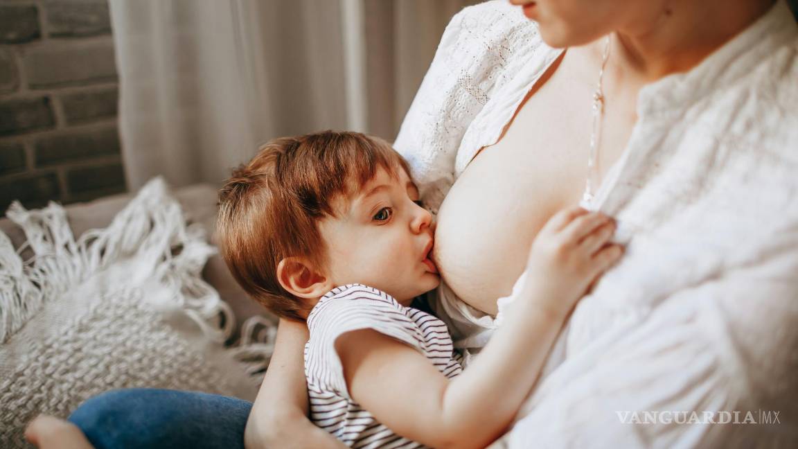 $!Esta celebración fue establecida por la Alianza Mundial pro Lactancia Materna (WABA, por sus siglas en inglés) en 1992.