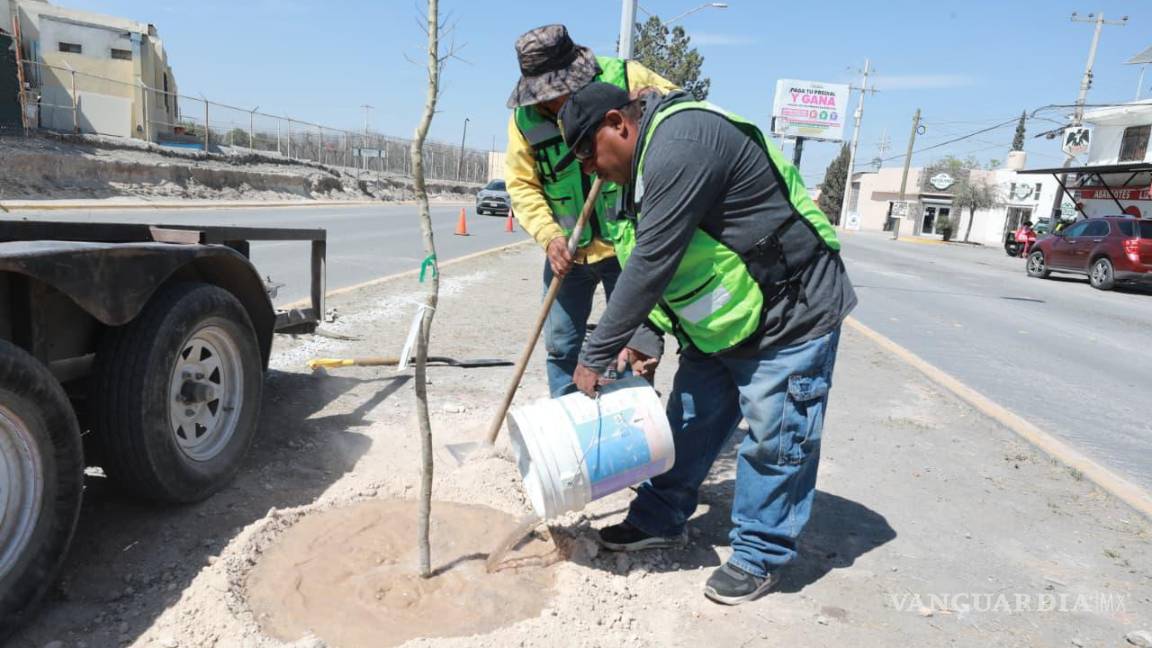 $!Mejoran seguridad vial con rehabilitación de barreras y parapetos en Saltillo