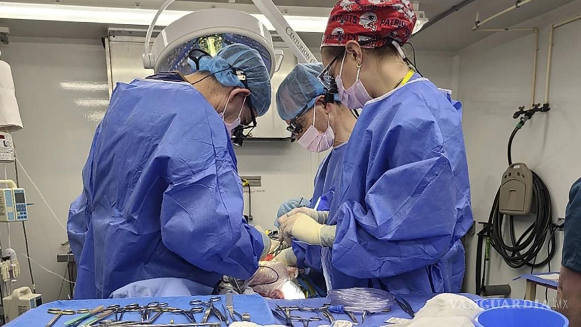 Nueva técnica está redefiniendo el trasplante de órganos