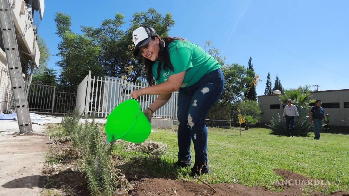 Gobierno Municipal de Saltillo cumple meta de reforestación