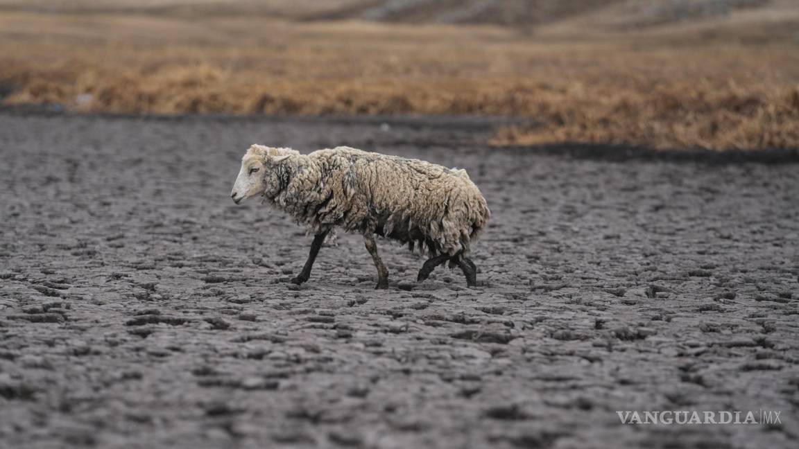 Desaparece la laguna de Cconchaccota por peor la sequía en los Andes de Perú