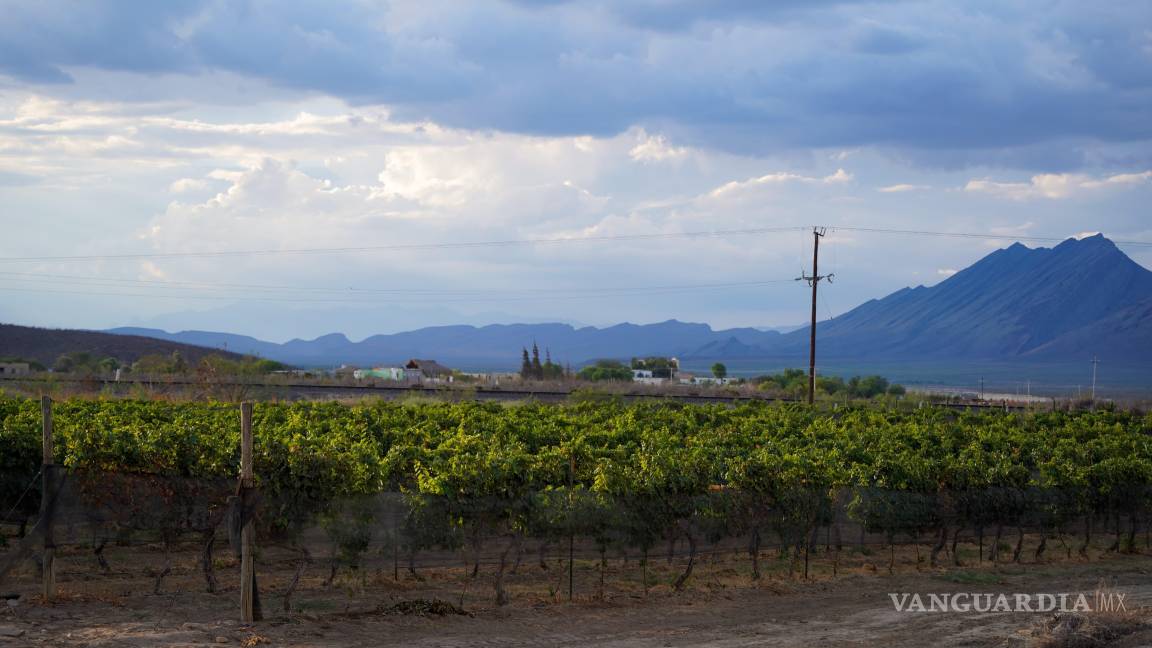 $!Son inumerables las opciones de esparcimiento con las que cuenta Ramos Arizpe.