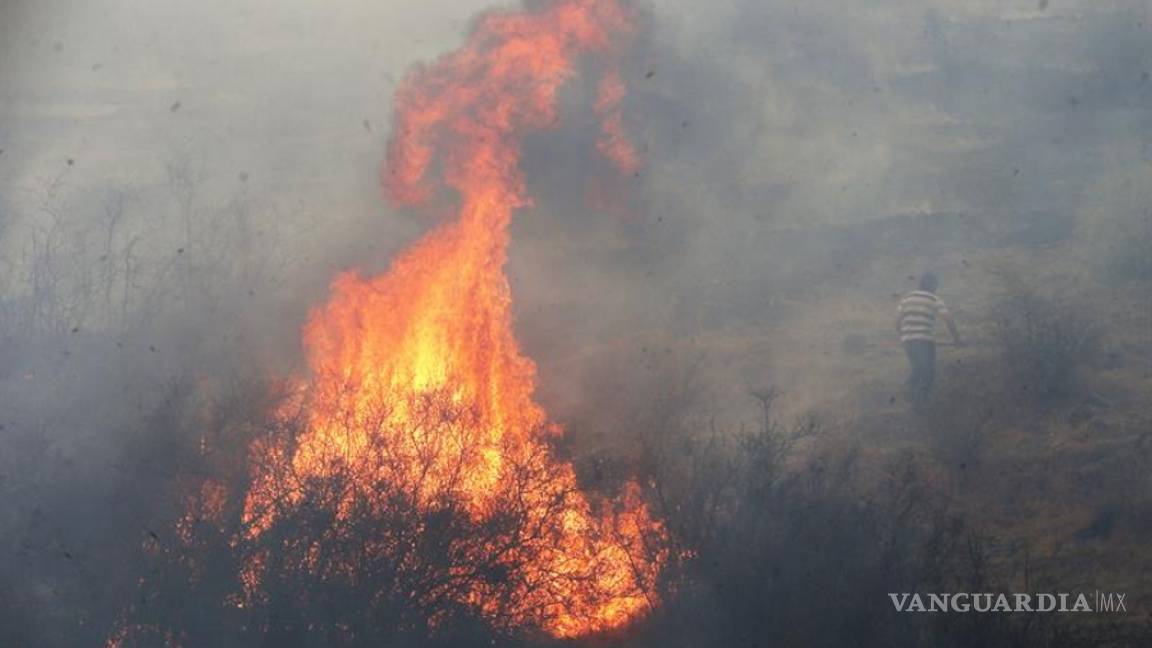 $!Se eleva a 11 los muertos por los incendios forestales en Chile