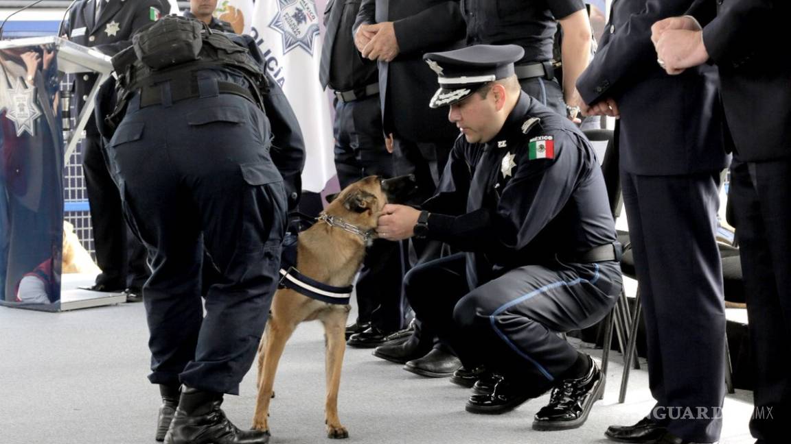Embajada de Estados Unidos dona 30 perros a la Policía Federal