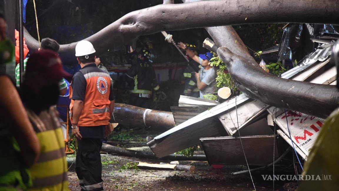 Fallece hombre tras lluvias en la CDMX, le cayó un árbol