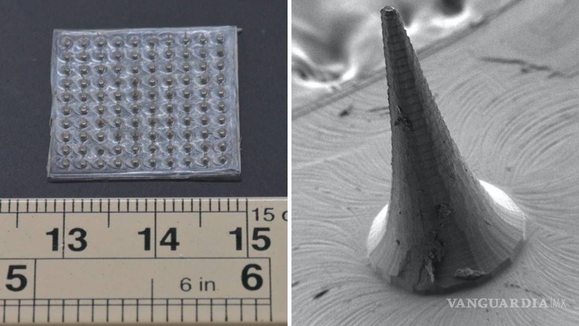 $!Con esta alarma podrás saber si los alimentos están contaminados