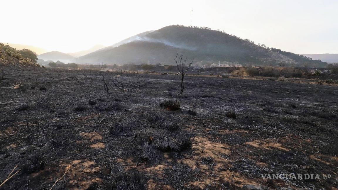 $!Bajo control el incendio en la sierra de El Tunal en Arteaga; 73 hectáreas afectadas