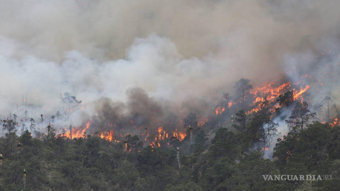$!Saltillo, Coahuila 20 de mayo de 2022.- El incendio registrado en La Carbonera sigue sin controlarse.