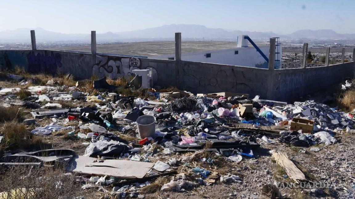 $!De acuerdo con la activista, en el sitio descienden especies como venados, coyotes, zorros y liebres, cuya presencia refleja la importancia ecológica del área, ahora amenazada por la acumulación de residuos y la alteración del entorno.