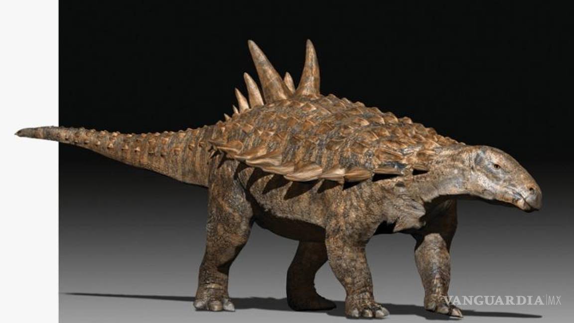 $!Acantholipan gonzalezi.