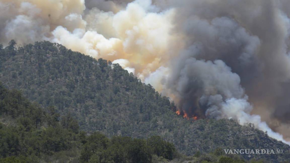 $!En un día el fuego consumió otras 10 hectáreas de área boscosa, sumando hasta el mediodía de este viernes 80 hectáreas consumidas.