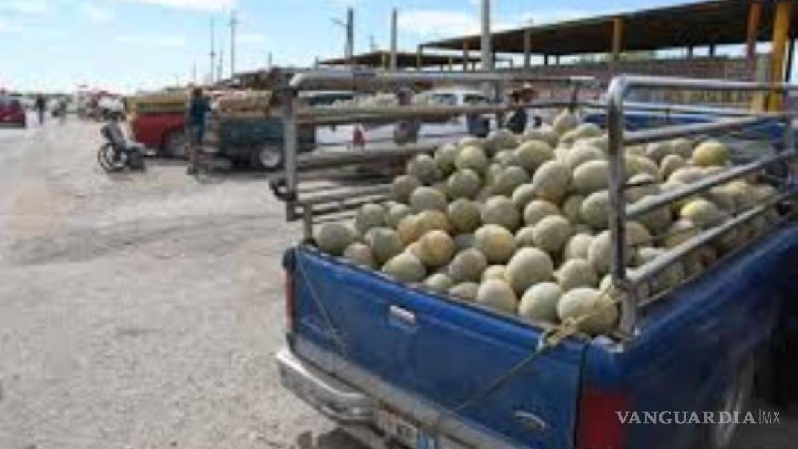 Acuerdan precio del melón y sandía de Matamoros, Coahuila, para evitar 'coyotaje'