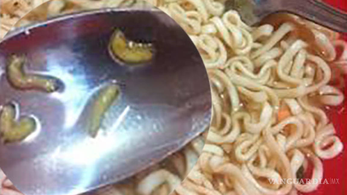 Descubre gusanos en su sopa instantánea