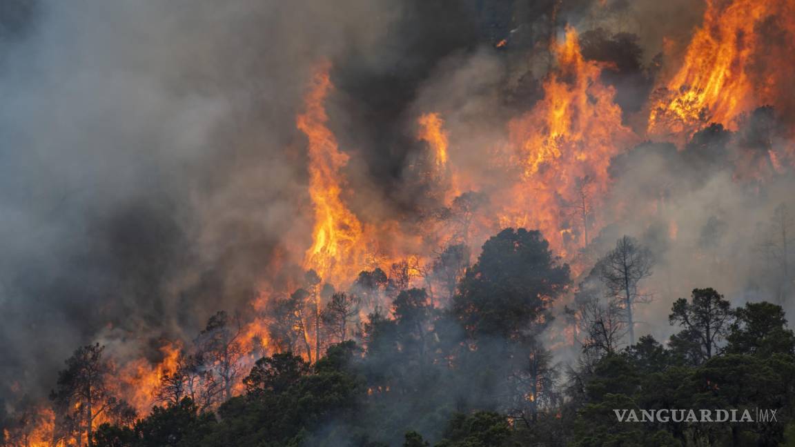 Disponen 4 millones y 500 brigadistas para combatir incendios forestales en Coahuila