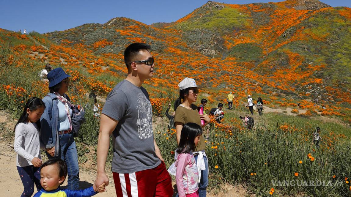 California: Piden no aterrizar en campos de flores