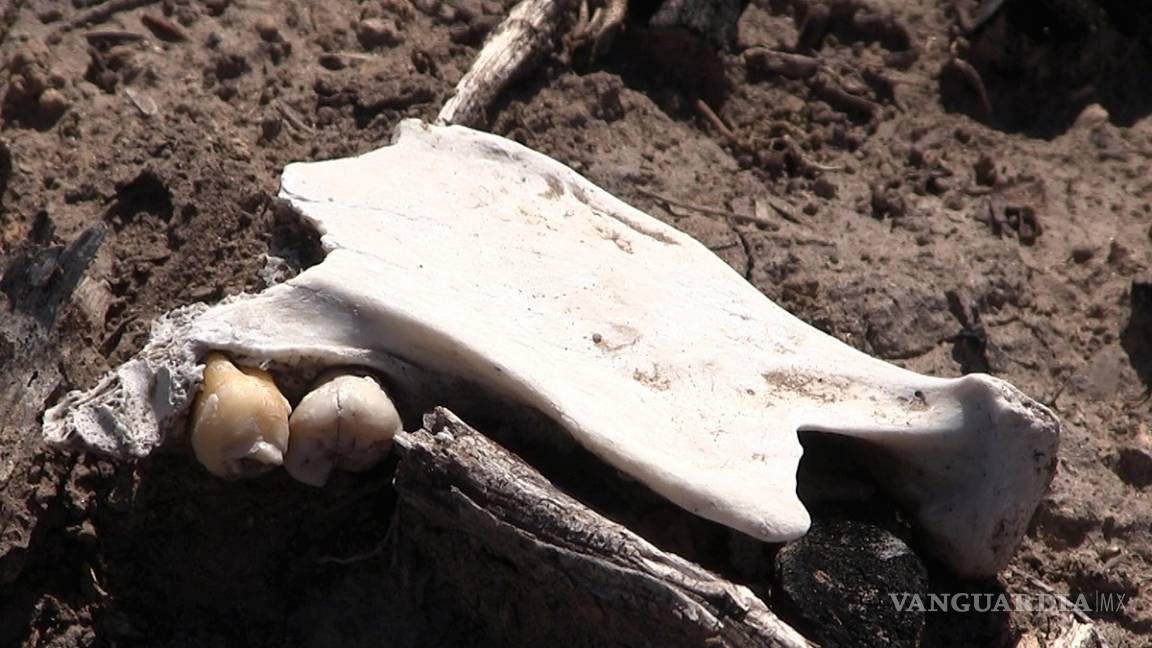 $!Más de un año pasó para que Patrocinio llamara la atención