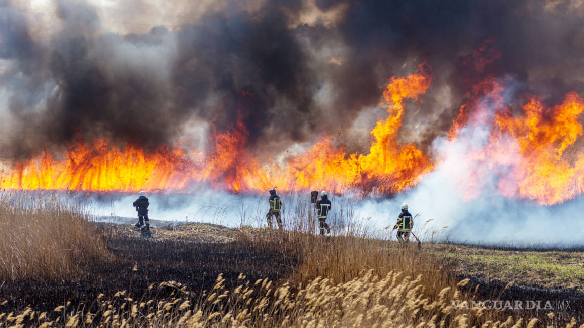 Se registran 18 incendios forestales en 10 estados del país: Conafor