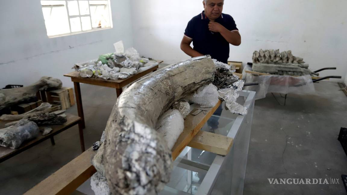 Descubren fósiles de entre 10.000 y 14.000 años en el centro de México